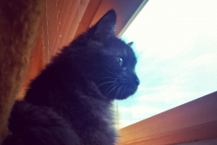 InstagramCapture_32d75045-09fc-4b96-adcb-2d2c96088a83