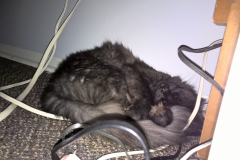 WP_20160108_21_26_23_Pro