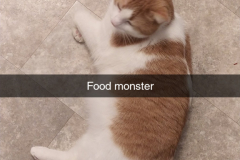 Snapchat-1072956002