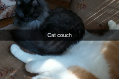 Snapchat-1171470018