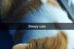 Snapchat-1286992276