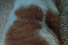 Snapchat-1339280883