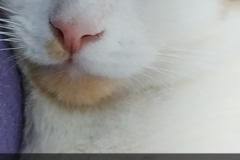 Snapchat-1443907987