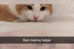 Snapchat-201658219
