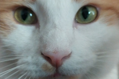 Snapchat-619356644