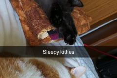 Snapchat-8512587